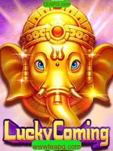 Descubra o Fascinante Mundo de LuckyComing